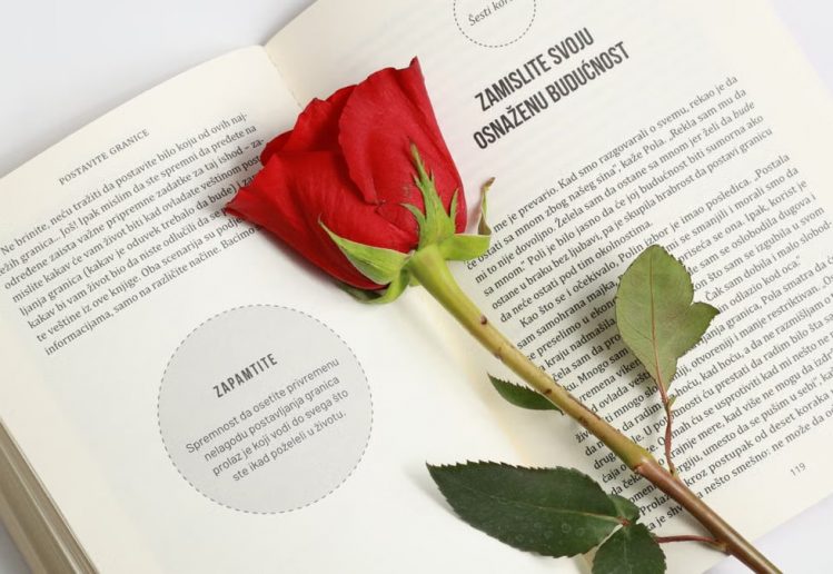 A vibrant red rose placed on the pages of an open book, offering a peaceful and romantic aesthetic.